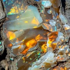 APOLOGETIC WHISPERS original key