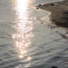 Навколо мене сонцем залита кімната