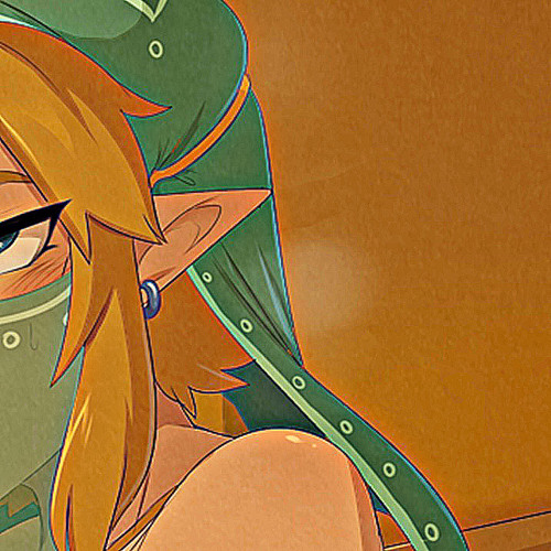 LINK IS A TRANNY [DaPuh]