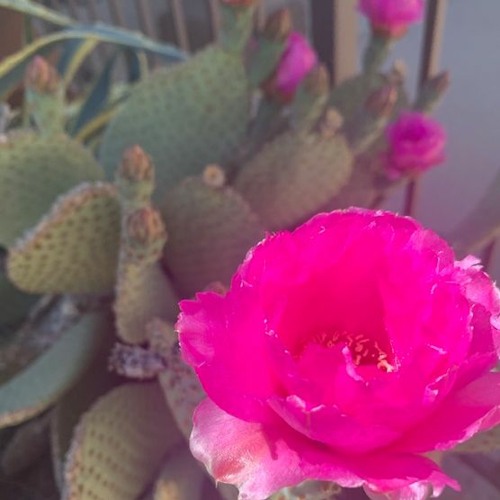 Take It Or Leave It Ft. Saint Marcel (Prod. Obed Padilla)