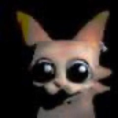 am i a bother to u