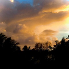 Temporal Dawn