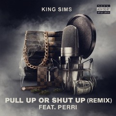 Pull Up or Shut Up (Remix) feat. Perri