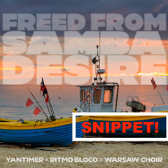 [SNIPPET] "Freed From Samba Desire" (bootleg)