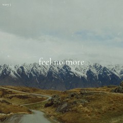 Feel No More
