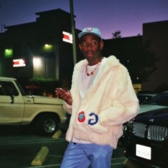 TYLER THE CREATOR ALL SONGS❤️‍🔥/unreleased