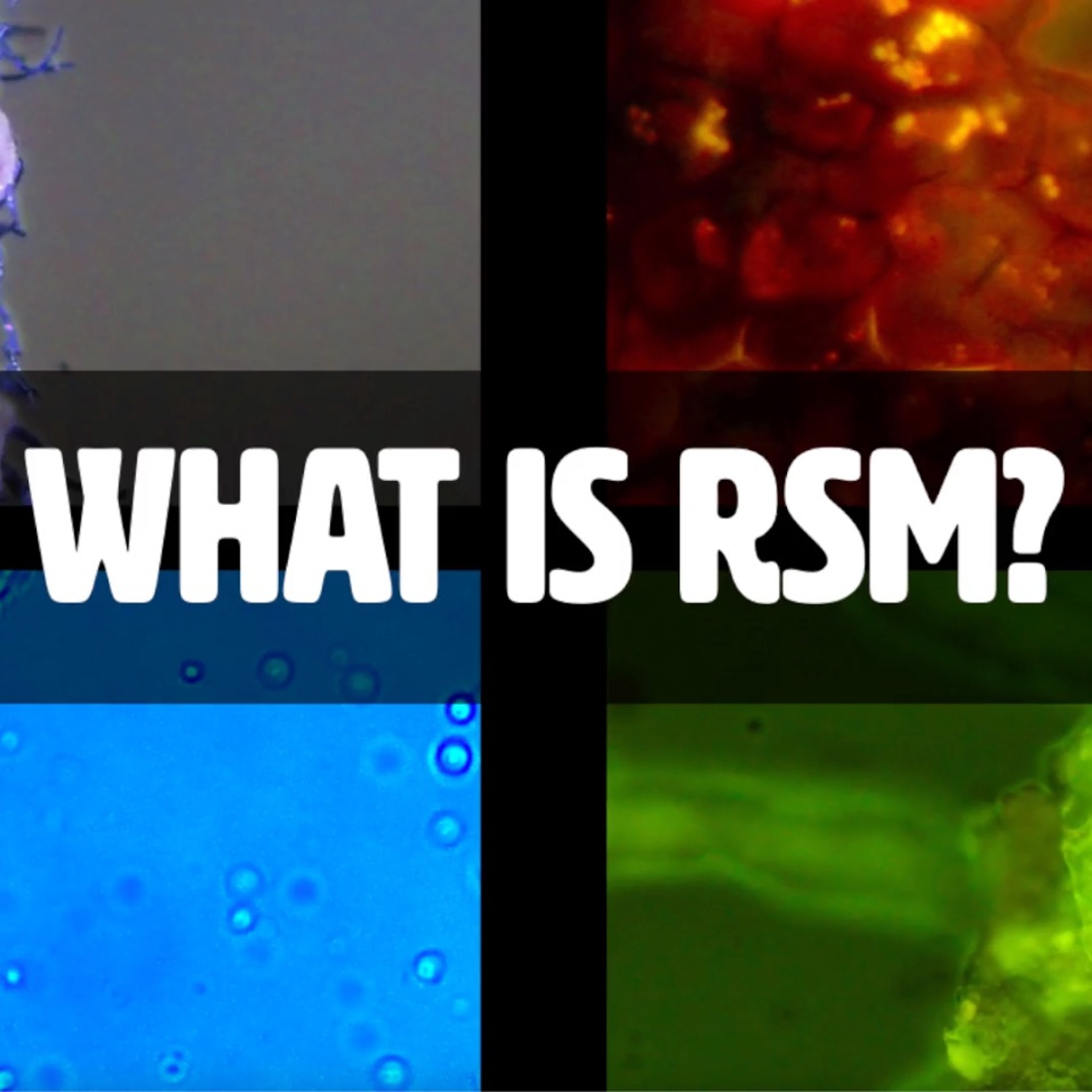 What Is Regenerative Soil Microscopy? with Matt Powers | A Sneak Peek