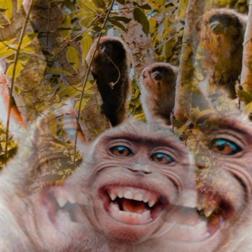 TribalOrc - Dango Balango 176,22bpm