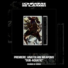 PREMIERE CDL || Anatolian Weapons - Sub-Aquatic [Sounds Of Ogigia] (2023)