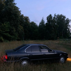 goodbye (description)