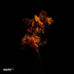 DS Premiere: Vergil - Conductive Until Disproven [ROA-004]