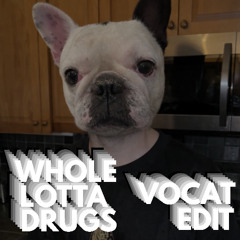 DILLON FRANCIS & SHIPWREK - WHOLE LOTTA DRUGS (VOCAT EDIT) - FREE DL