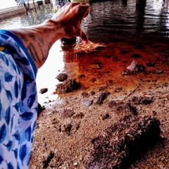 Head Collecting Ft.👽☝YoYo Luis