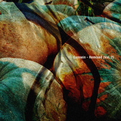 E-HRZN Premiere: Gannein - Dialect (Ecilo Remix) [PCRF Solidarity Compilation]