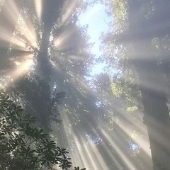 short unreleased mix @ok