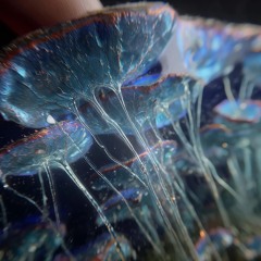 Biocybernetics .:. 29 w/ brad alloc