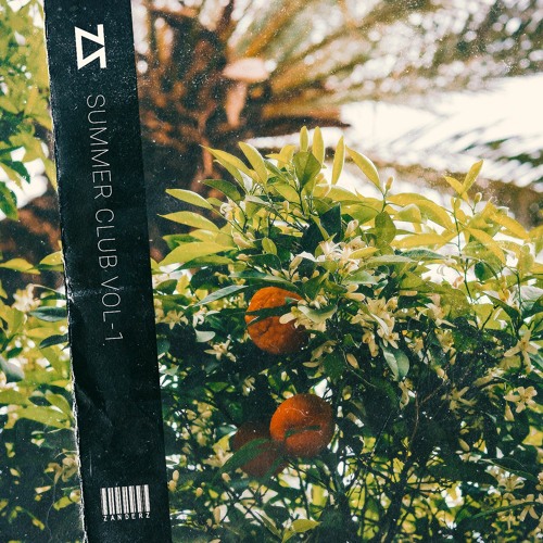 Zanderz Summer Club Vol. 1