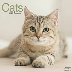 ( Fsi ) 2023 Cats Wall Calendar by  Avonside Publishing Ltd ( tkJI )