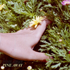 Pine Away