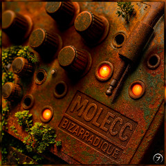 Molecc - Bizarradique (seamless mix)
