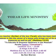 027 Tazria 2024 (Leviticus 12:1-13:59)