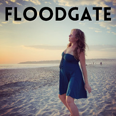 Floodgate