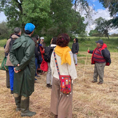 Vozes do rio – Idanha