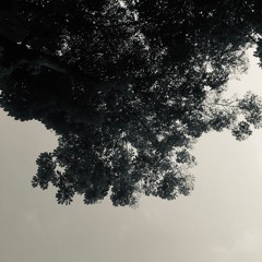 Chiaroscuri: Ghost Work I