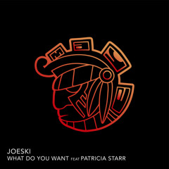 What Do You Want - Joeski Feat Patricia Starr (Original Mix)