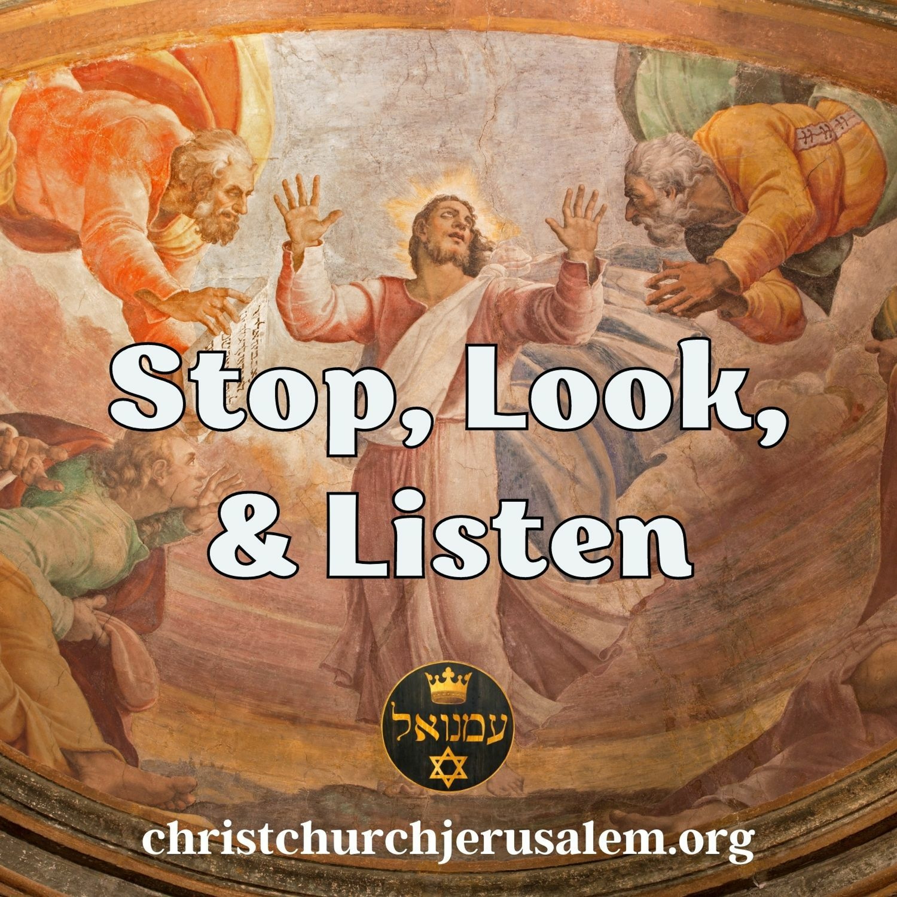 Stop, Look, and Listen | Rev. David Pileggi episode artwork