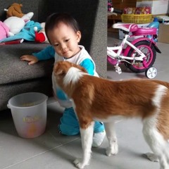 (hdmix.us) Đồng Sâu 2019 - Ninh Nguyễn !!!