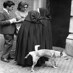 a disgusting dog named tipsy - prretty crazy show