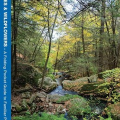 get [❤ PDF ⚡]  Connecticut Trees & Wildflowers: A Folding Pocket Guide