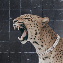 ARC Afters Mix @ Everything Bar Chicago [083025]