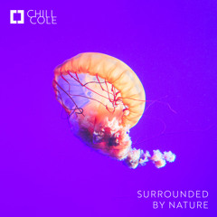 Chillout Lounge