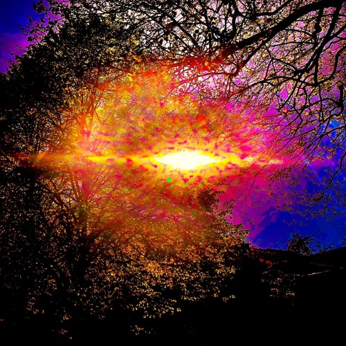 Sun and Shield