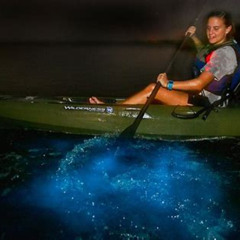 Review Special Price Bioluminescence Kayak Tour