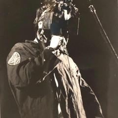 Mr. Bungle
