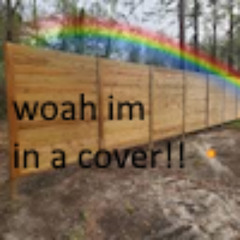 rainbow goes by a fence kinda like in the single cover