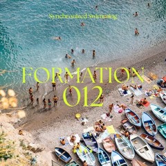 Formation 012
