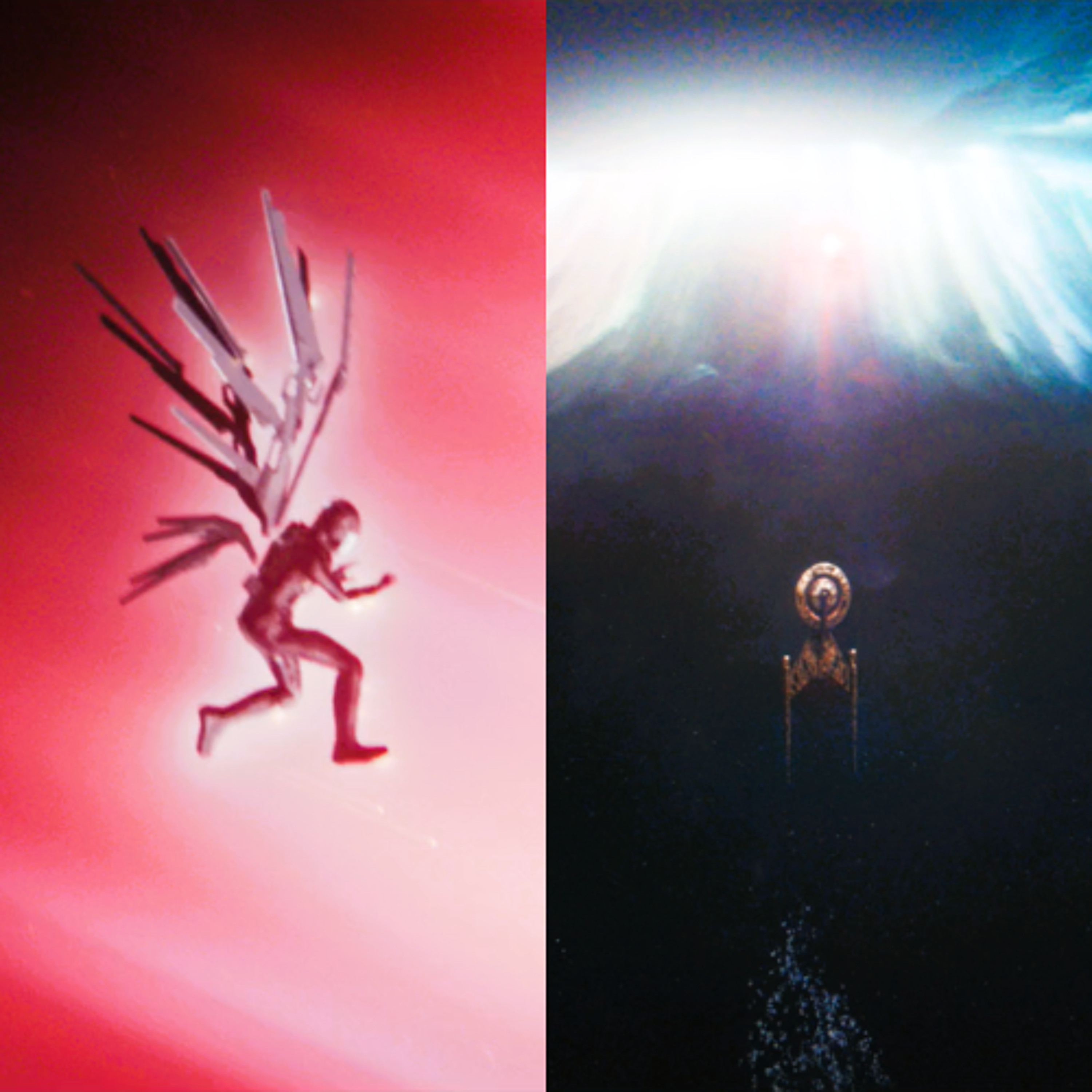 A Star to Steer Her By