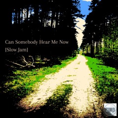 Can Somebody Hear Me Now [Slow Jam] (Bellamy Brothers cover)