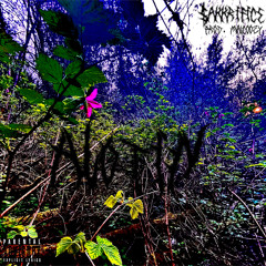 $akkrifice - ALotIN (malcoozy)