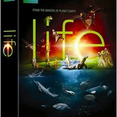 Bbc Life In The Undergrowth 720p Mkv !!INSTALL!!