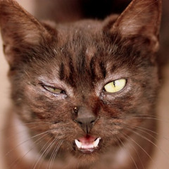 juggrn4ut - losing my mind (prod. Whoamiwithoutt)