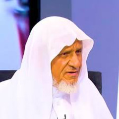 (وسَارِعُوا إِلَىٰ مغْفِرَةٍ مِّن رَّبِّكُمْ) روائع التلاوات ¦ الشيخ أحمد خليل شاهين Surat Al 'Imran (160kbit_Opus)