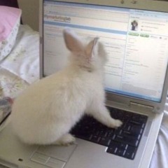 ʰᵉʳᵉʷᵉᵍᵒᵃᵍᵃⁱⁿ