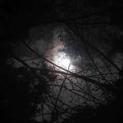 moonlight