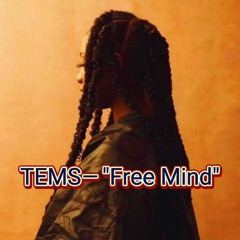 TEMS - FREE MIND RMX BY DJCOOLEY504 N KINGOFBOUNCE(CLEAN)