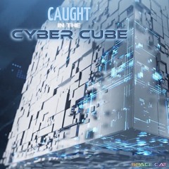 Caught in the Cyber Cube